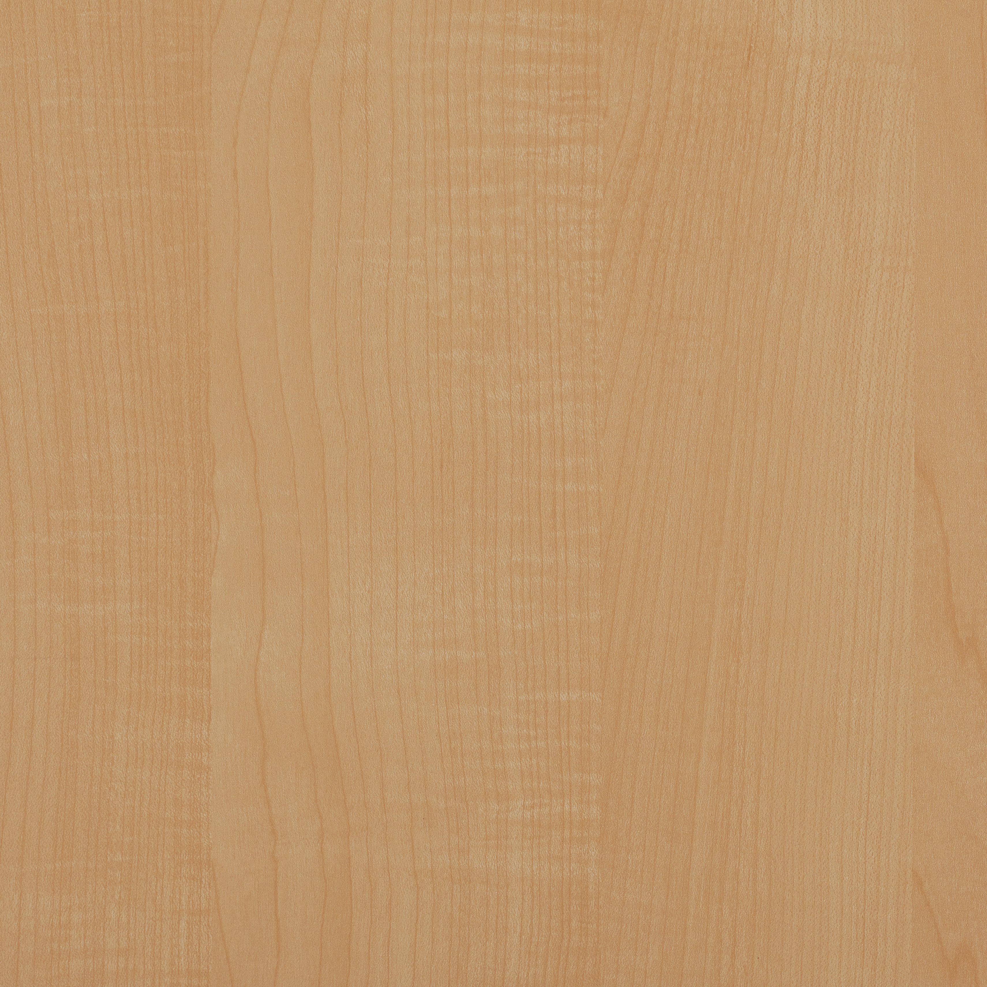 Prestige Maple | Tafisa