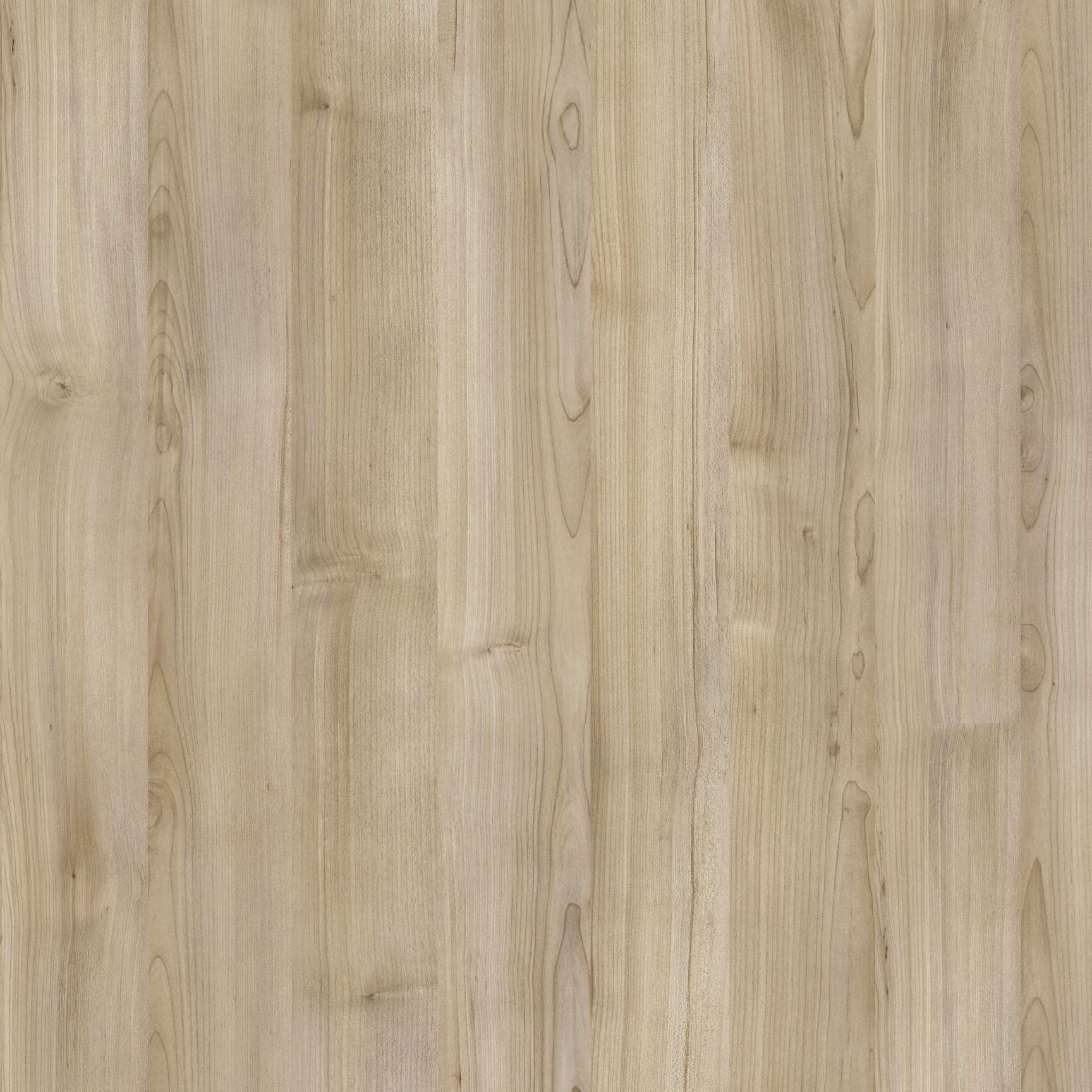 Sable Island | Tafisa