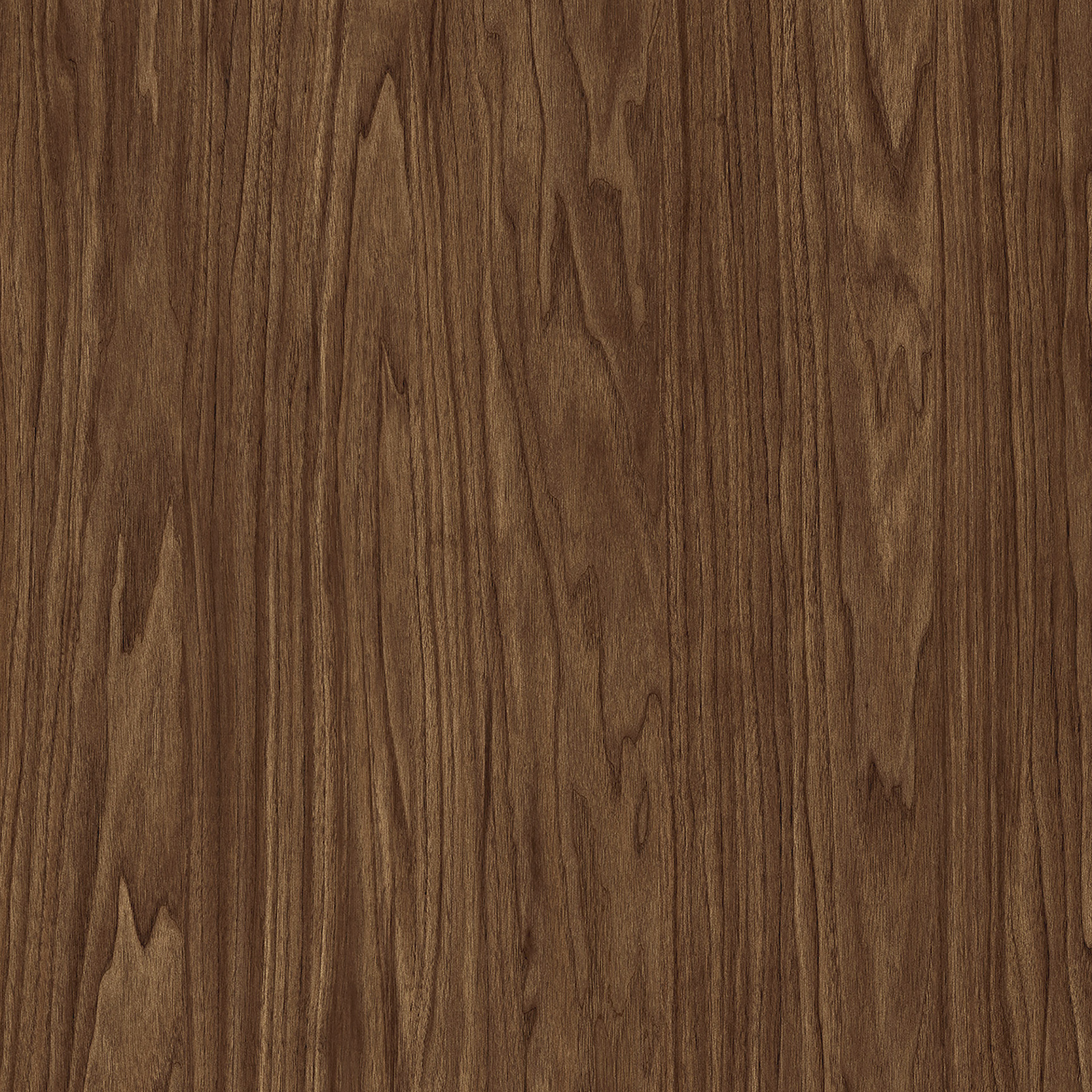 Sunday Brunch | Tafisa