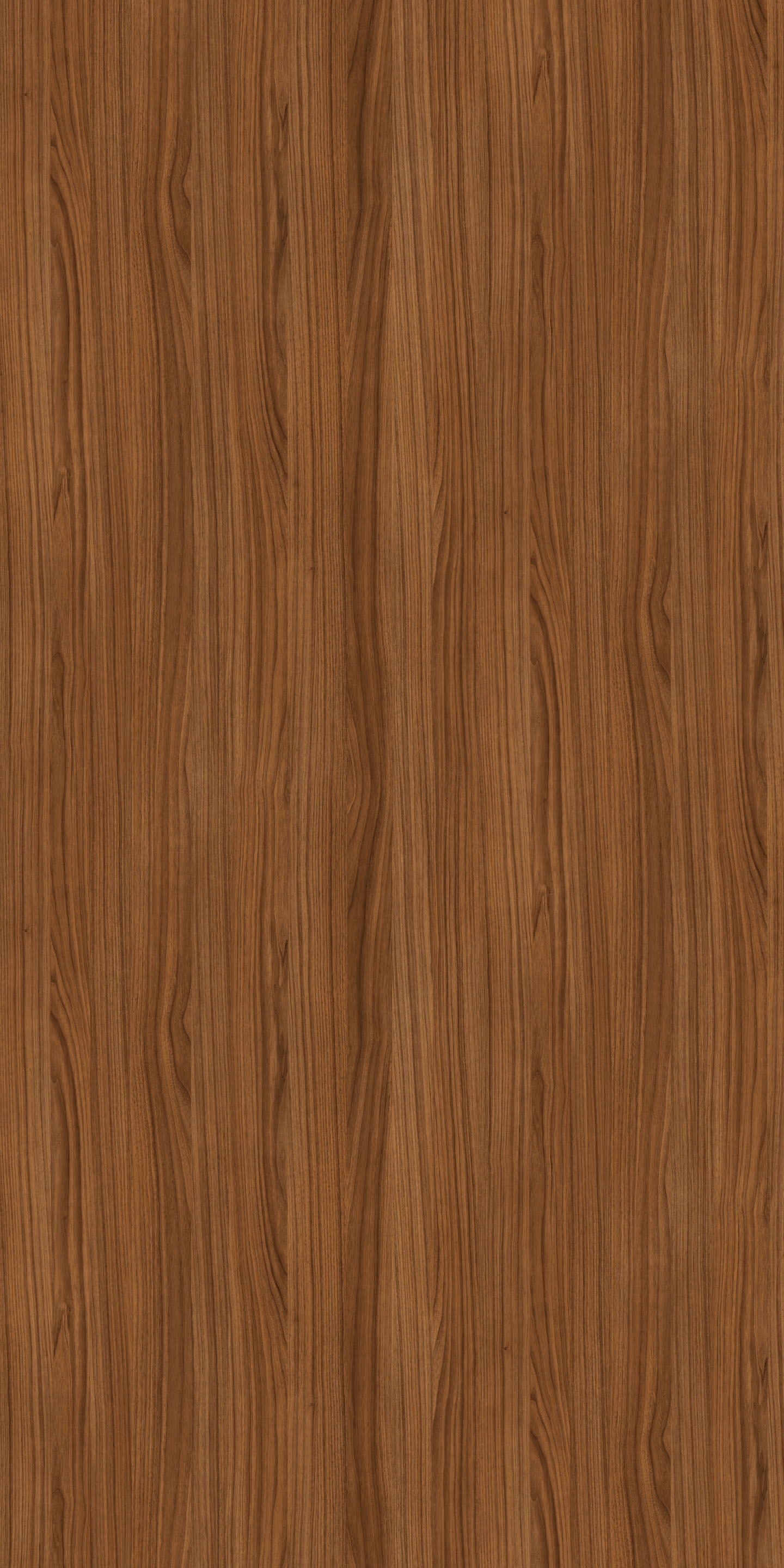 Hot Cinnamon | Tafisa