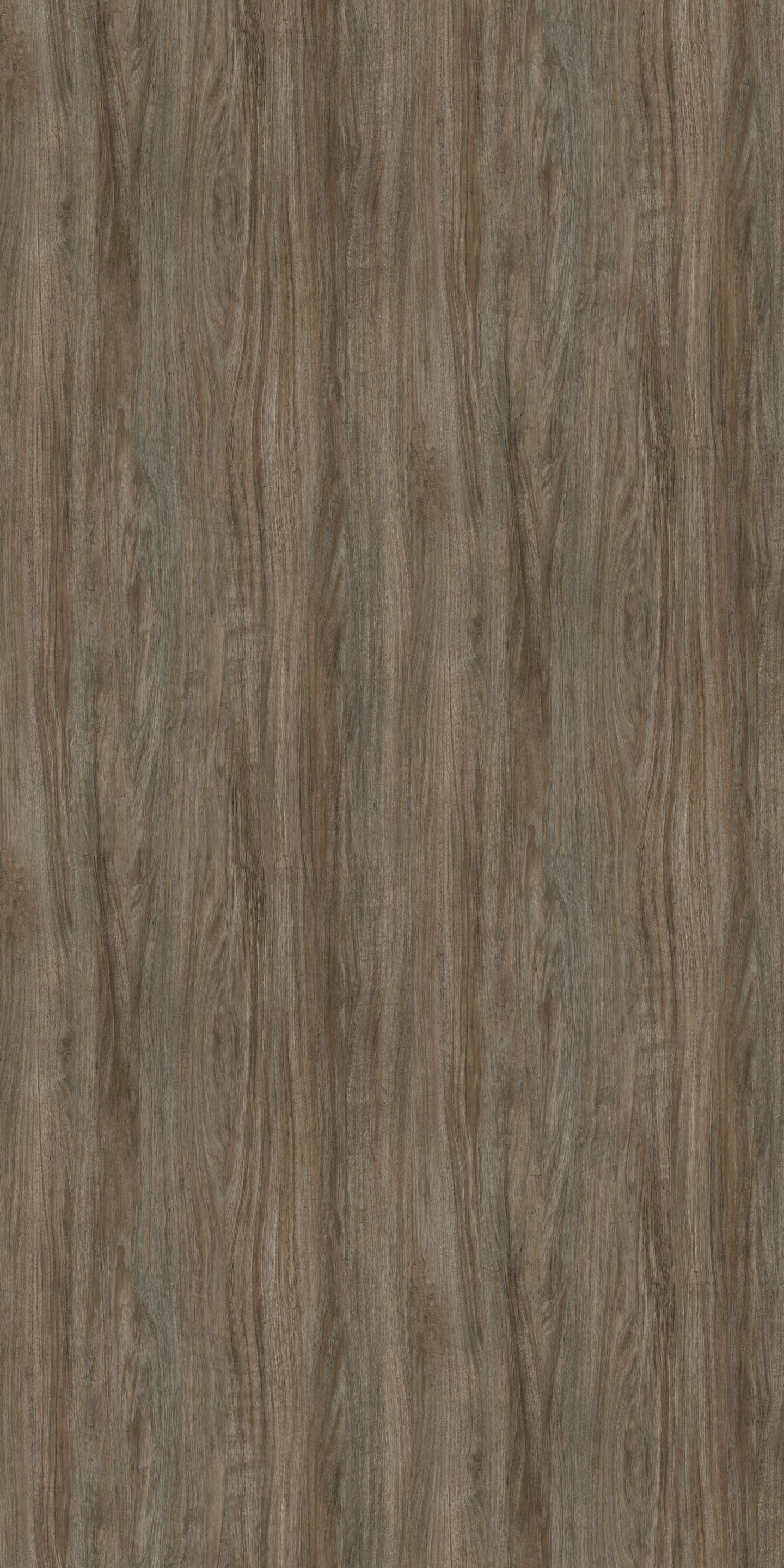 Southwester | Tafisa