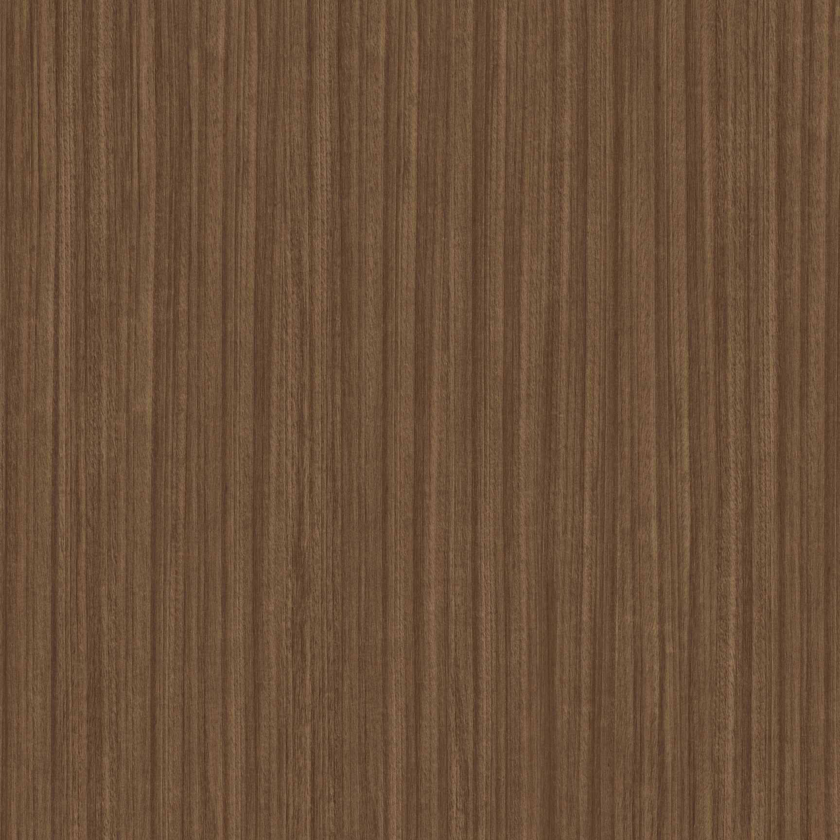 Rocky Mountain | Tafisa