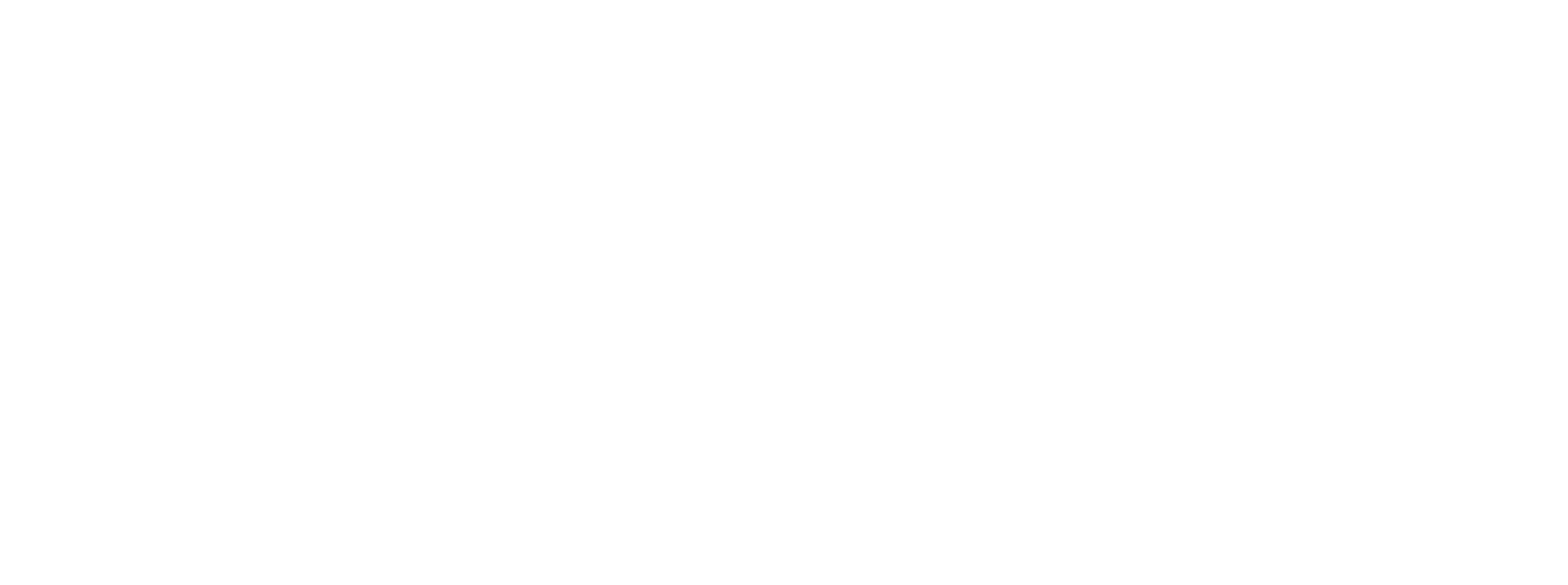 Karisma Logo inverted