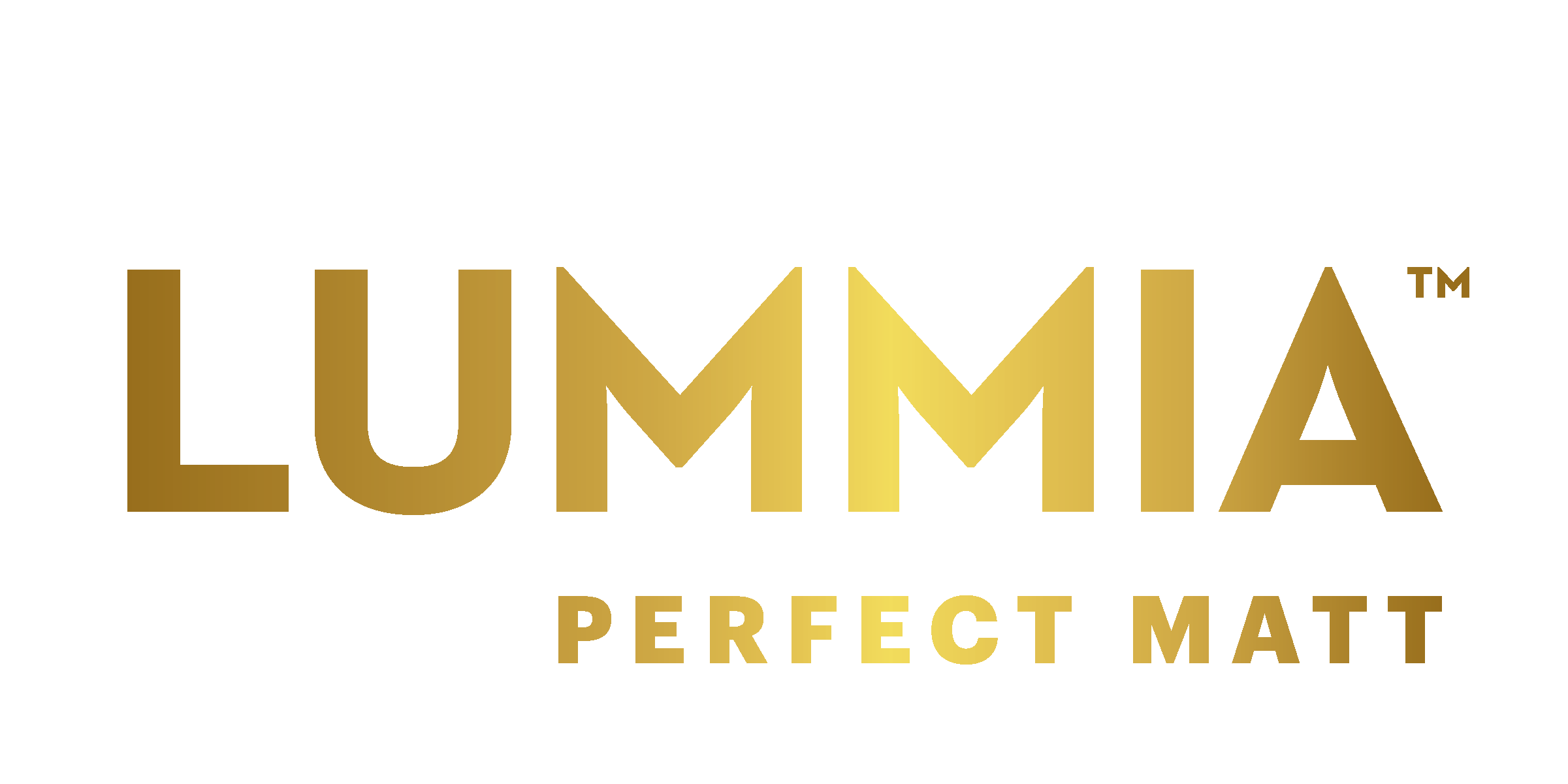 Logo Perfect Matt