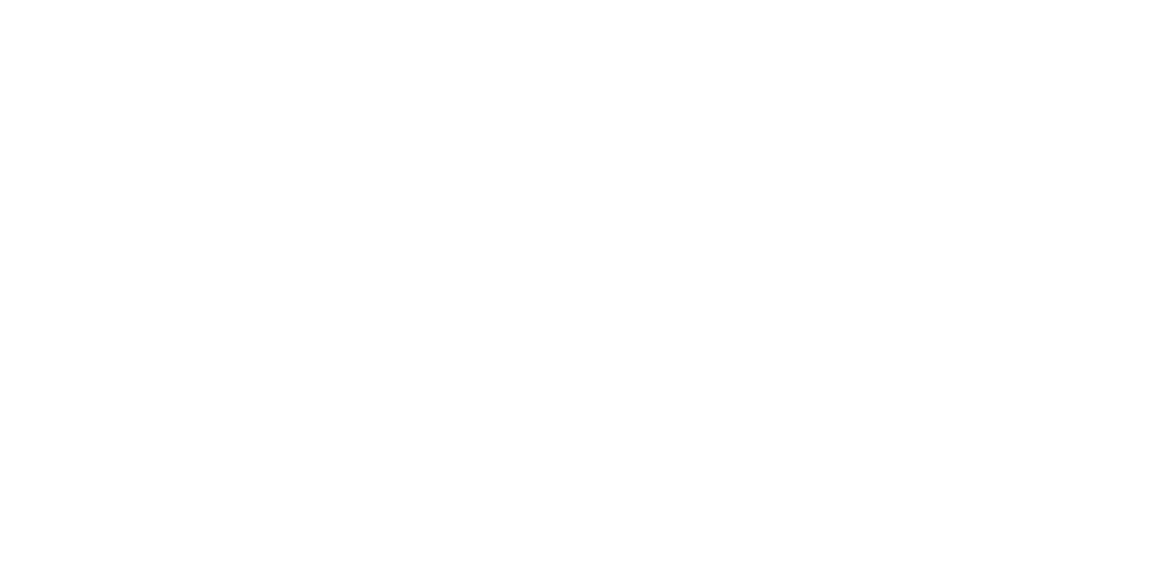 Logo Perfect Matt blanc