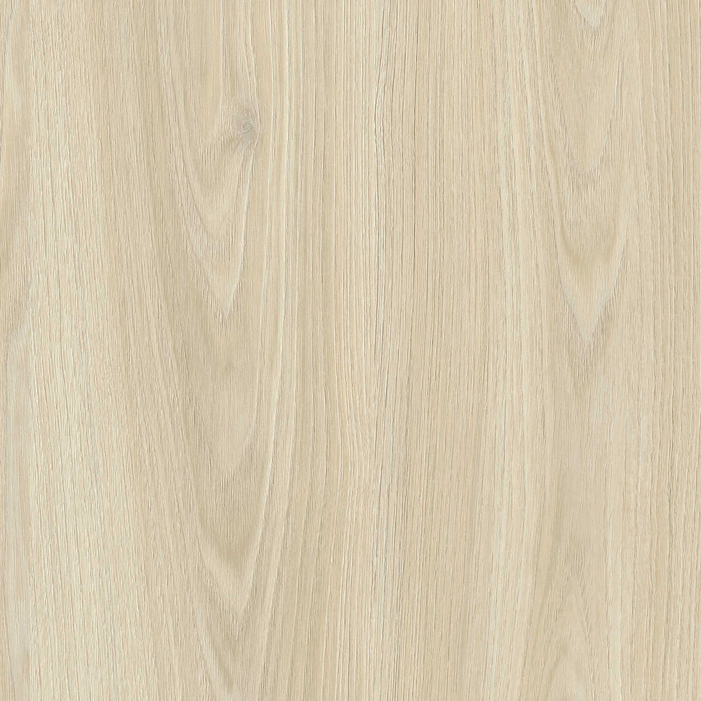 Love at First Sight | Tafisa