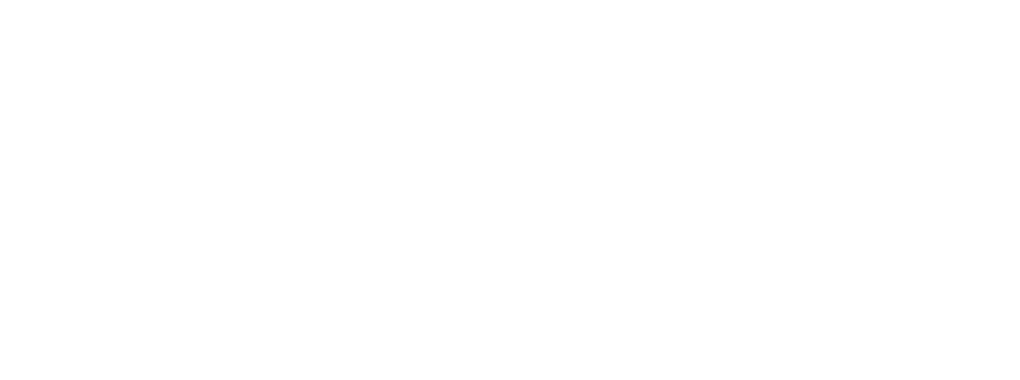 Logo Viva blanc