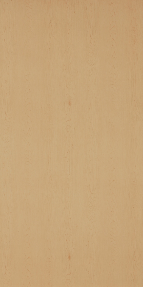 Hardrock Maple | Tafisa